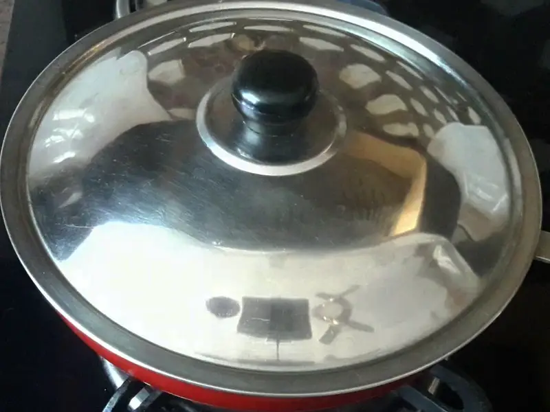 lid closed of pan