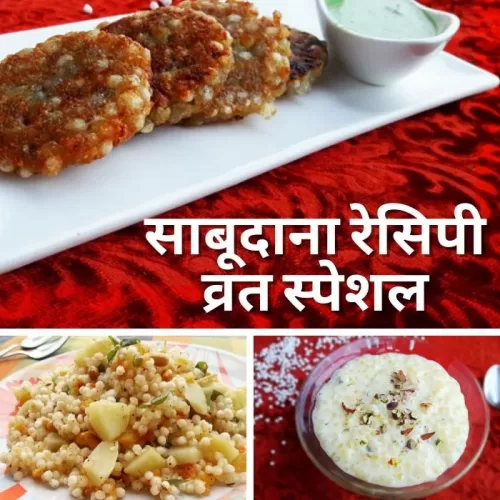 sabudana vrat recipes in hindi