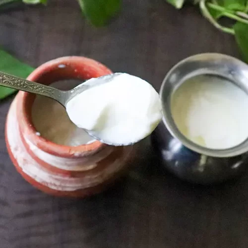 how to make curd